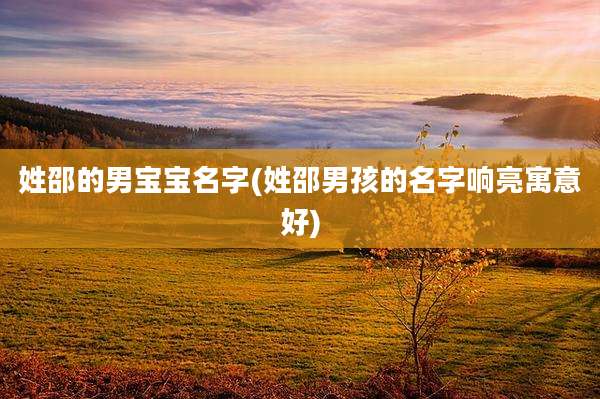 姓邵的男宝宝名字(姓邵男孩的名字响亮寓意好)