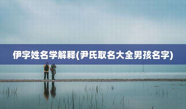 伊字姓名学解释(尹氏取名大全男孩名字)
