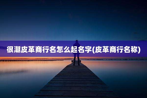 很潮皮革商行名怎么起名字(皮革商行名称)