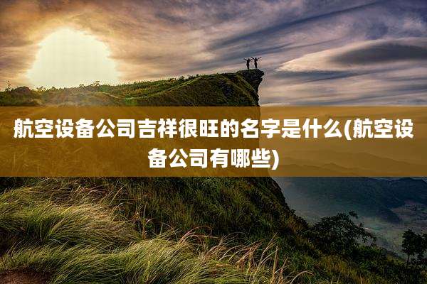 航空设备公司吉祥很旺的名字是什么(航空设备公司有哪些)