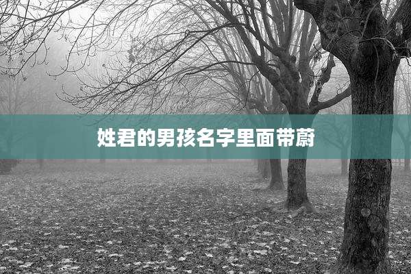 姓君的男孩名字里面带蔚