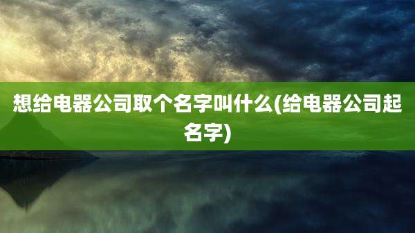 想给电器公司取个名字叫什么(给电器公司起名字)