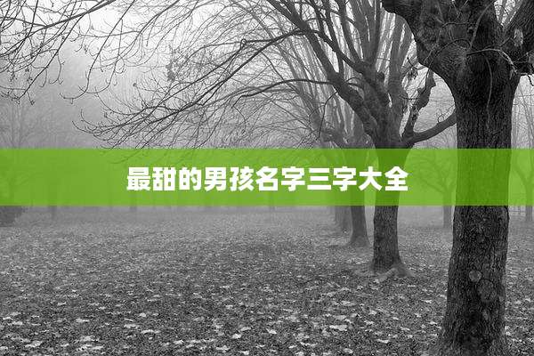 最甜的男孩名字三字大全