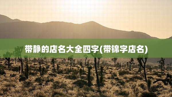 带静的店名大全四字(带锦字店名)