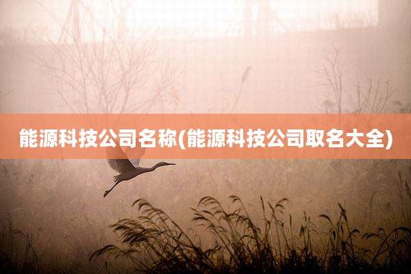 能源科技公司名称(能源科技公司取名大全)