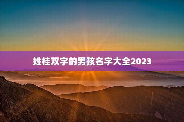 姓桂双字的男孩名字大全2023