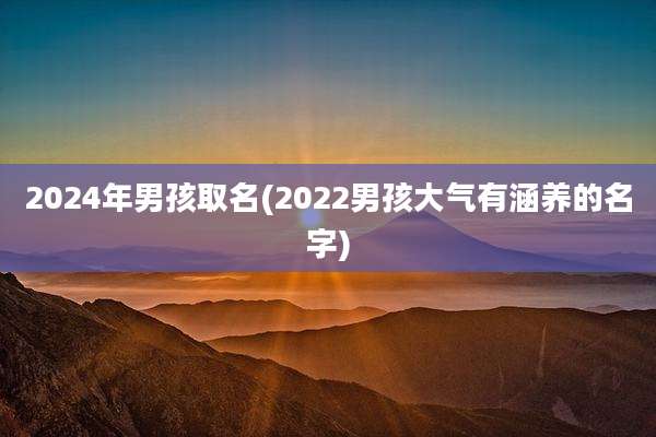2024年男孩取名(2022男孩大气有涵养的名字)