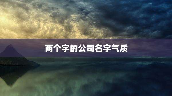 两个字的公司名字气质