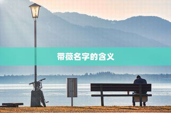 带薇名字的含义