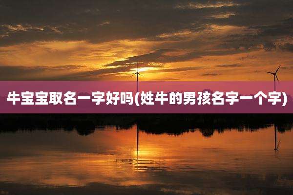 牛宝宝取名一字好吗(姓牛的男孩名字一个字)