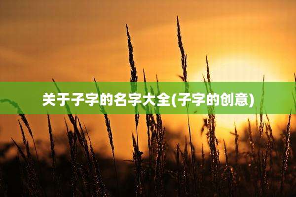关于子字的名字大全(子字的创意)