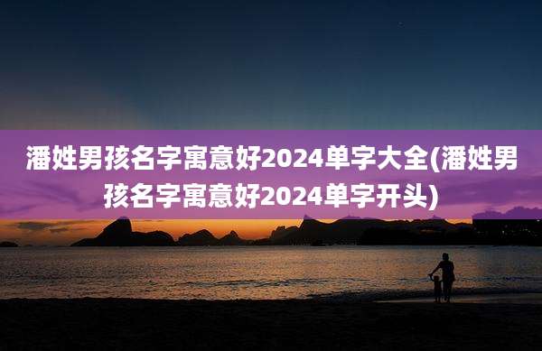 潘姓男孩名字寓意好2024单字大全(潘姓男孩名字寓意好2024单字开头)