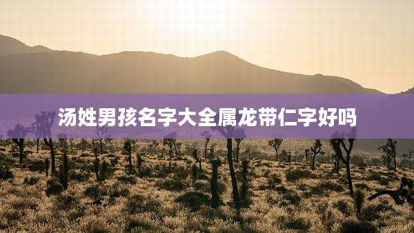 汤姓男孩名字大全属龙带仁字好吗