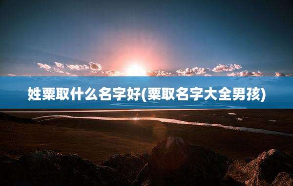 姓粟取什么名字好(粟取名字大全男孩)