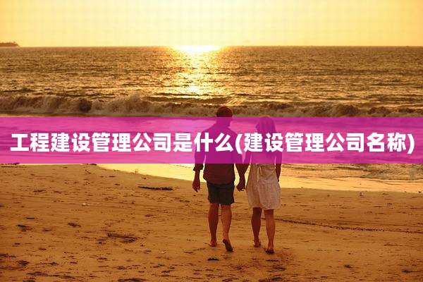 工程建设管理公司是什么(建设管理公司名称)