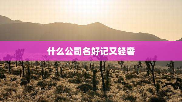 什么公司名好记又轻奢