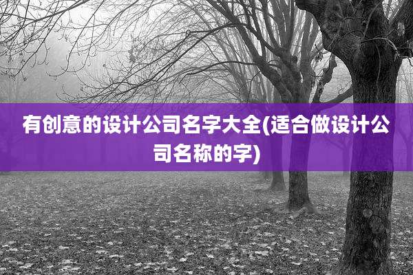 有创意的设计公司名字大全(适合做设计公司名称的字)
