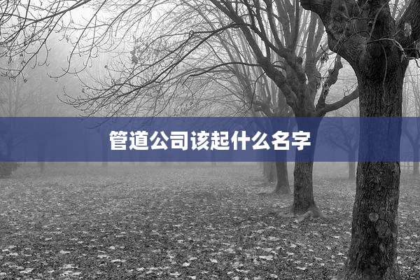 管道公司该起什么名字