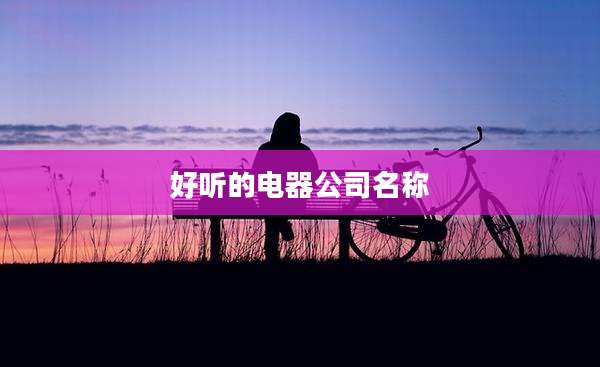 好听的电器公司名称