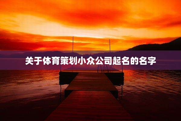 关于体育策划小众公司起名的名字