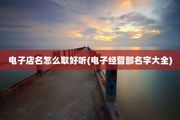 电子店名怎么取好听(电子经营部名字大全)