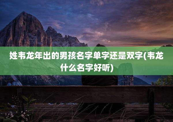 姓韦龙年出的男孩名字单字还是双字(韦龙什么名字好听)