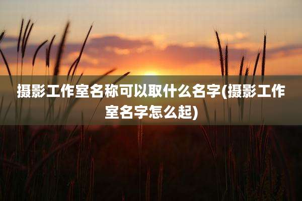 摄影工作室名称可以取什么名字(摄影工作室名字怎么起)