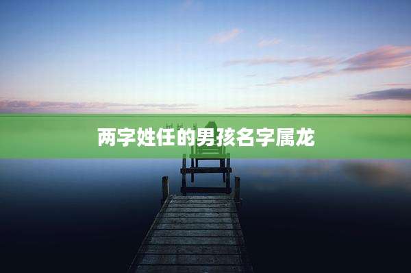 两字姓任的男孩名字属龙