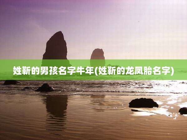 姓靳的男孩名字牛年(姓靳的龙凤胎名字)