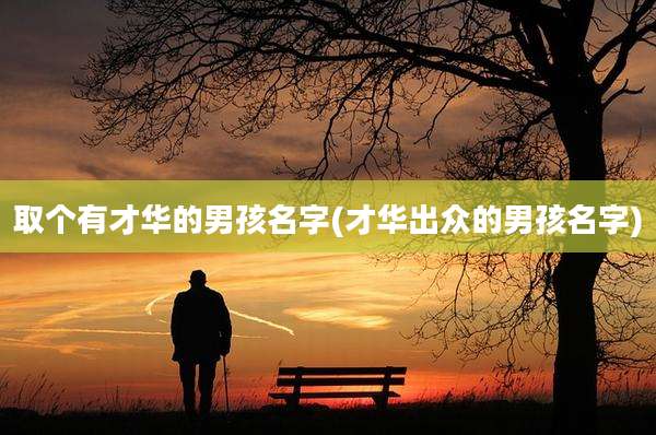 取个有才华的男孩名字(才华出众的男孩名字)