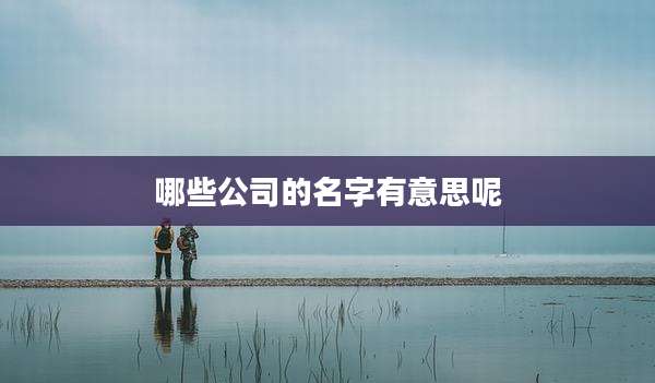 哪些公司的名字有意思呢