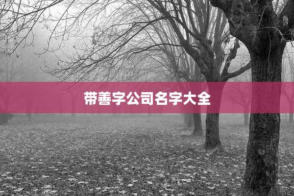 带善字公司名字大全