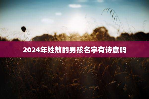 2024年姓敖的男孩名字有诗意吗