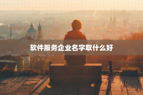 软件服务企业名字取什么好