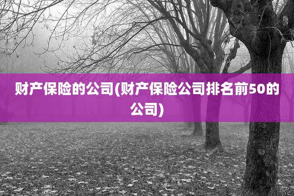 财产保险的公司(财产保险公司排名前50的公司)