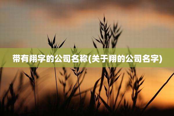 带有翔字的公司名称(关于翔的公司名字)