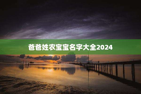 爸爸姓农宝宝名字大全2024