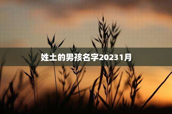 姓土的男孩名字20231月