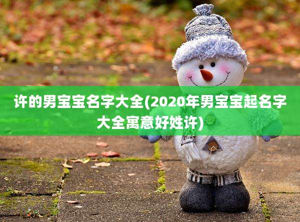 许的男宝宝名字大全(2020年男宝宝起名字大全寓意好姓许)