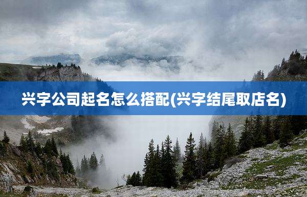 兴字公司起名怎么搭配(兴字结尾取店名)