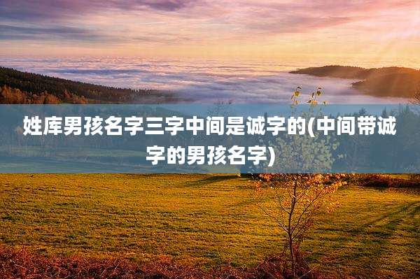 姓库男孩名字三字中间是诚字的(中间带诚字的男孩名字)