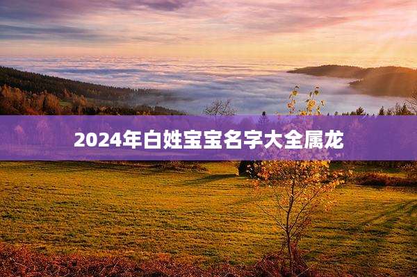2024年白姓宝宝名字大全属龙