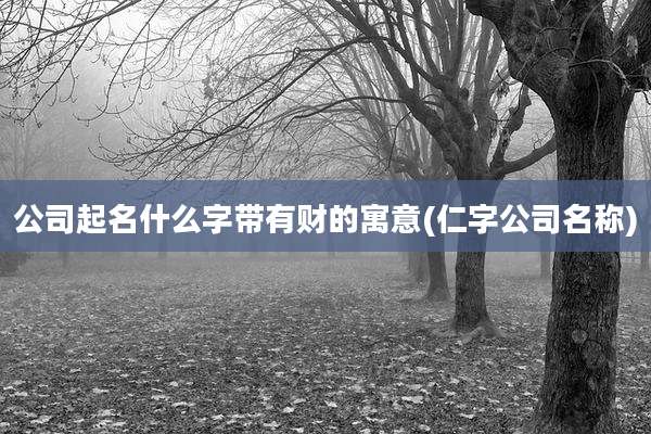 公司起名什么字带有财的寓意(仁字公司名称)