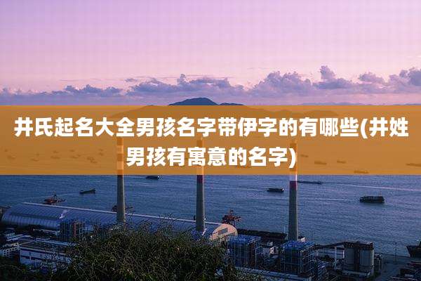 井氏起名大全男孩名字带伊字的有哪些(井姓男孩有寓意的名字)