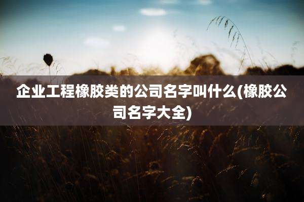 企业工程橡胶类的公司名字叫什么(橡胶公司名字大全)