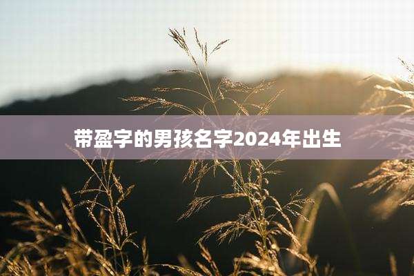 带盈字的男孩名字2024年出生