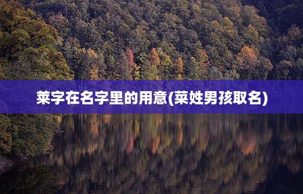 莱字在名字里的用意(菜姓男孩取名)