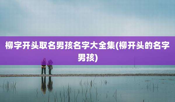 柳字开头取名男孩名字大全集(柳开头的名字男孩)