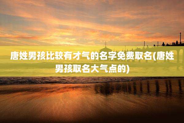 唐姓男孩比较有才气的名字免费取名(唐姓男孩取名大气点的)