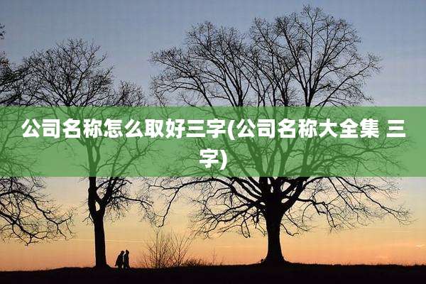 公司名称怎么取好三字(公司名称大全集 三字)